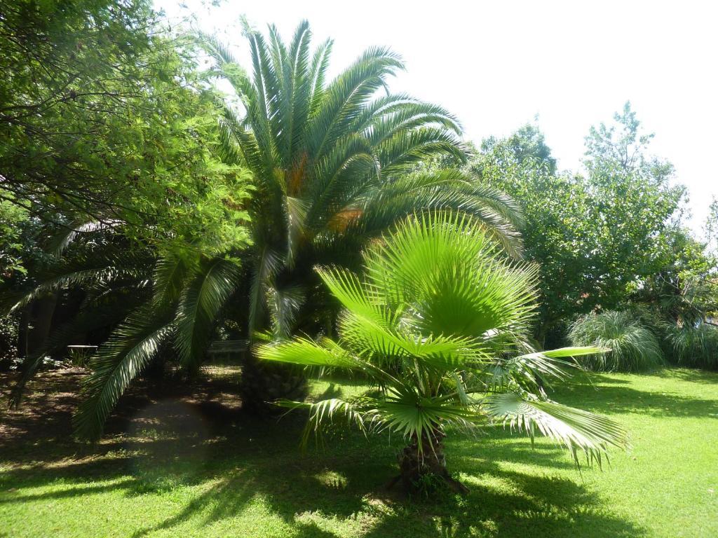 Les Jardins Du Patriarche Hotel Agde Exterior foto